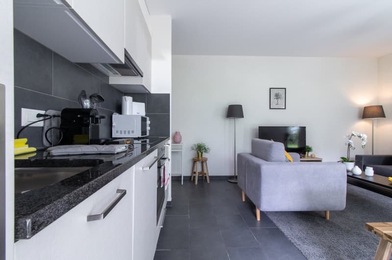Appartement moderne, 1 chambre à coucher au Bouveret (3)