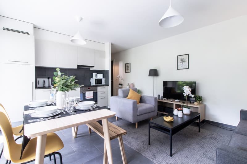 Appartement moderne, 1 chambre à coucher au Bouveret (8)