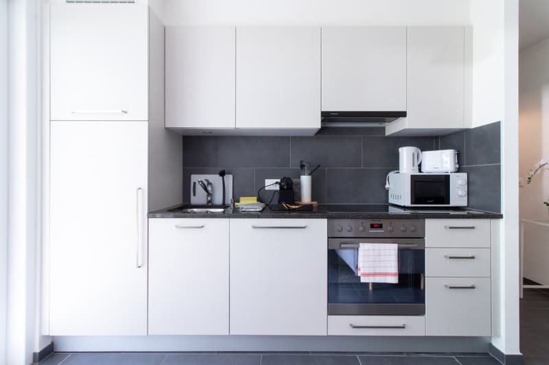Appartement moderne, 1 chambre à coucher au Bouveret (4)