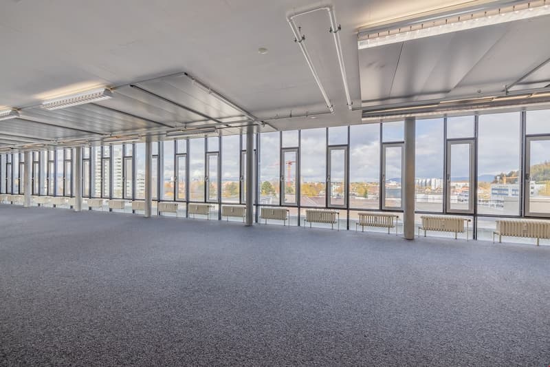 Votre espace commercial dans les combles (2)