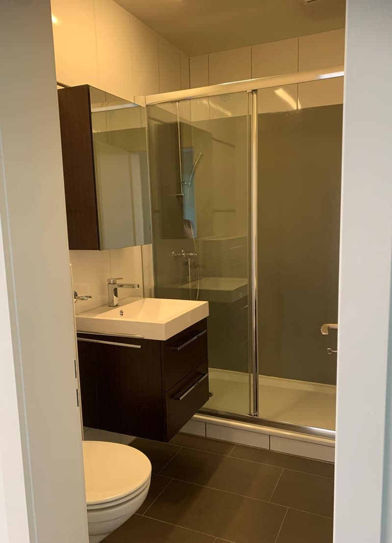 Charmant appartement 4 pièces dans un quartier calme de Biel (4)
