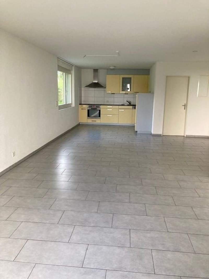 Appartement 2.5 pièces avec espace de séjour / y compris un espace de stationnement extérieur (6)