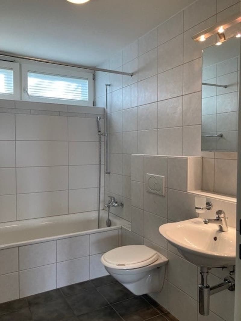 Appartement 2.5 pièces avec espace de séjour / y compris un espace de stationnement extérieur (2)