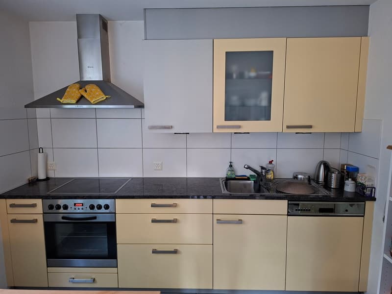 Appartement 2.5 pièces avec espace de séjour / y compris un espace de stationnement extérieur (4)