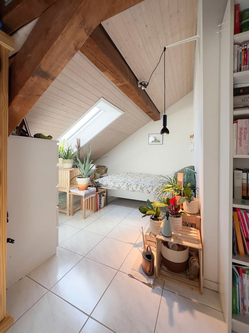 Charmante 1.5-Zimmer-Dachwohnung mit Charakter in Basel (9)