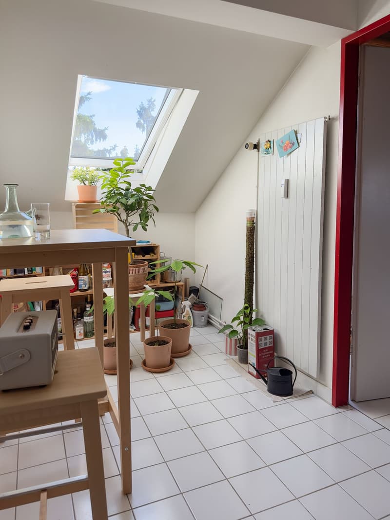 Charmante 1.5-Zimmer-Dachwohnung mit Charakter in Basel (2)