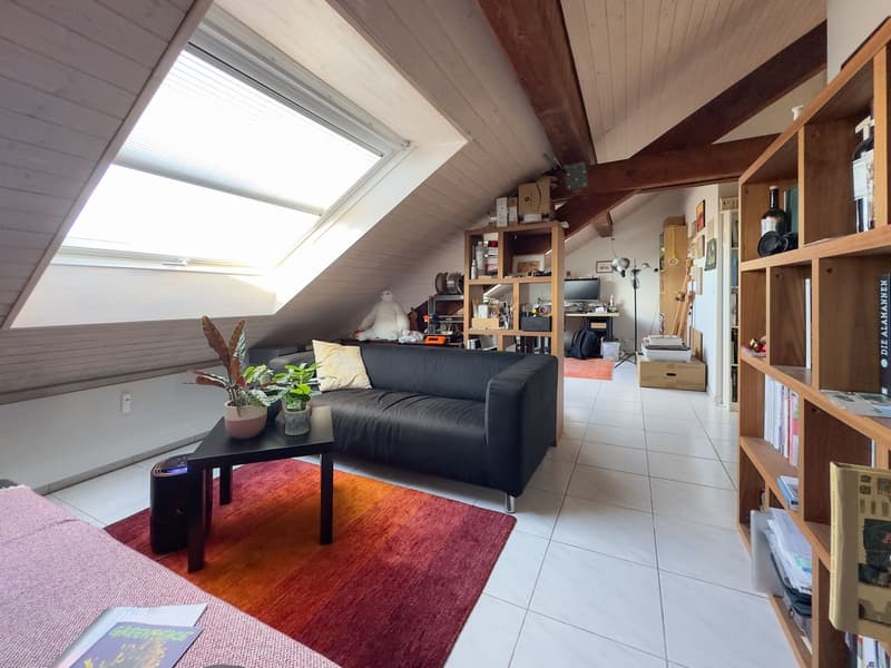 Charmante 1.5-Zimmer-Dachwohnung mit Charakter in Basel (5)