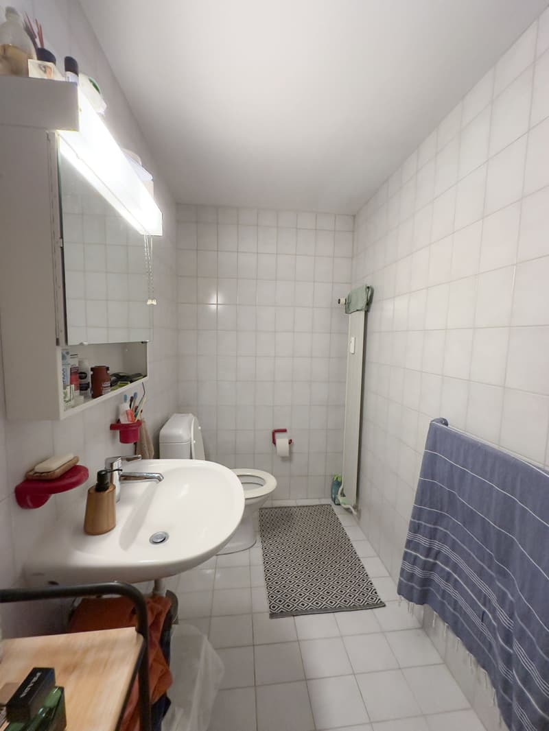 Charmante 1.5-Zimmer-Dachwohnung mit Charakter in Basel (7)