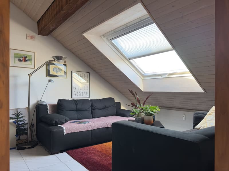 Charmante 1.5-Zimmer-Dachwohnung mit Charakter in Basel (6)
