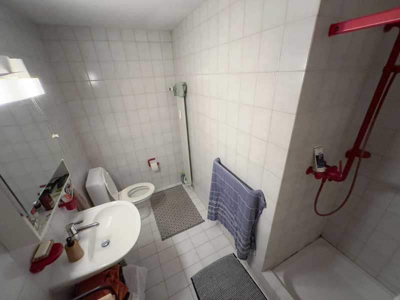 Charmante 1.5-Zimmer-Dachwohnung mit Charakter in Basel (8)