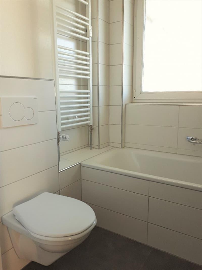 Charmante 3-Zimmerwohnung im 2. OG (4)