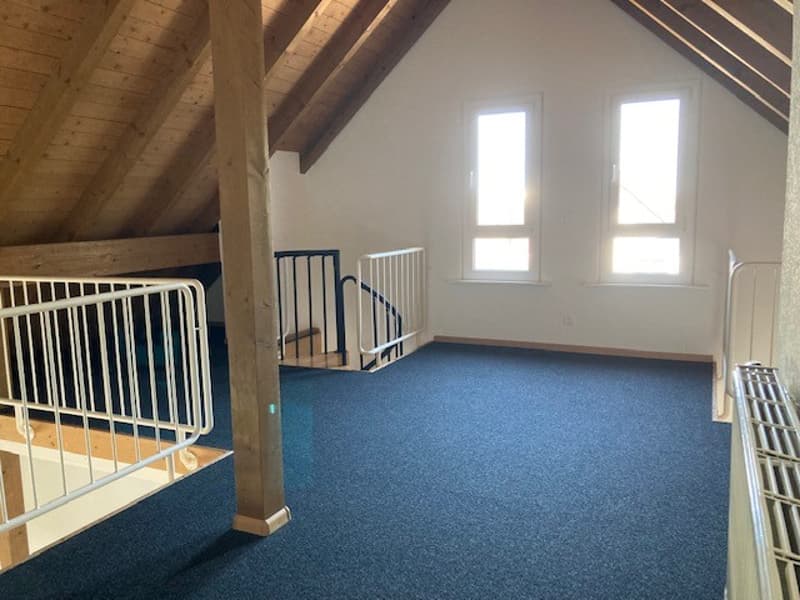 Einzigartige 2.5-Zimmer-Dachwohnung in Münchenstein (2)