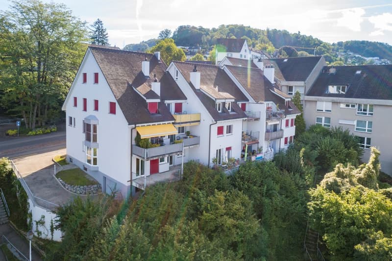 Einzigartige 2.5-Zimmer-Dachwohnung in Münchenstein (1)