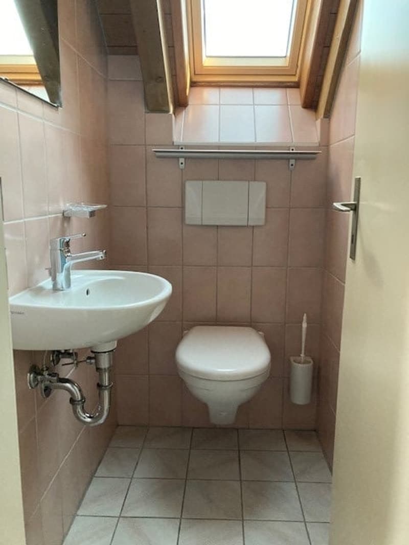 Einzigartige 2.5-Zimmer-Dachwohnung in Münchenstein (11)