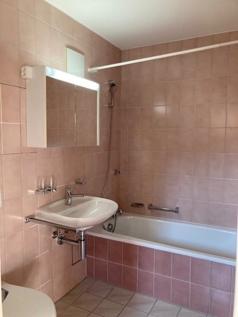 Einzigartige 2.5-Zimmer-Dachwohnung in Münchenstein (10)