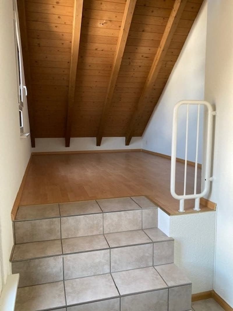 Einzigartige 2.5-Zimmer-Dachwohnung in Münchenstein (5)