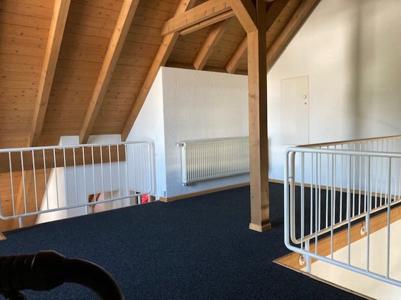 Einzigartige 2.5-Zimmer-Dachwohnung in Münchenstein (3)