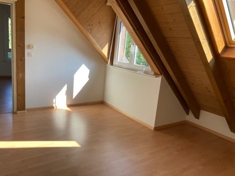Einzigartige 2.5-Zimmer-Dachwohnung in Münchenstein (4)