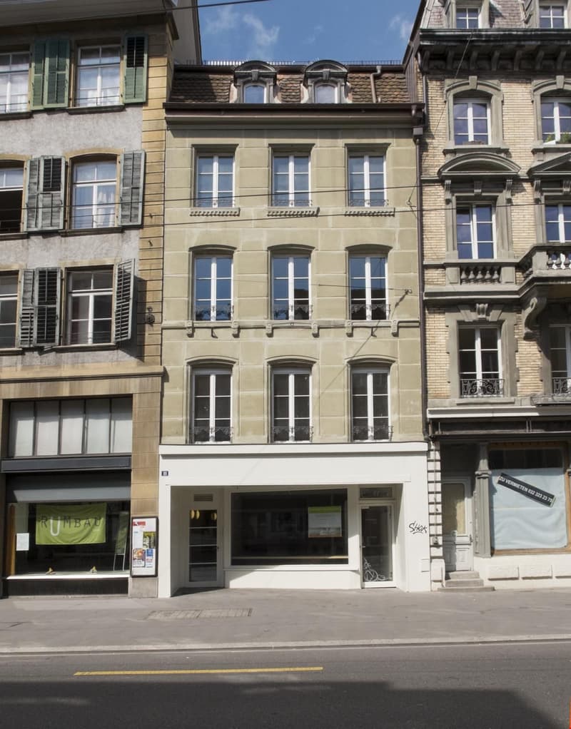 Grosse 3.5 Zimmer Wohnung mit Terrasse auf 2 Etagen (1)
