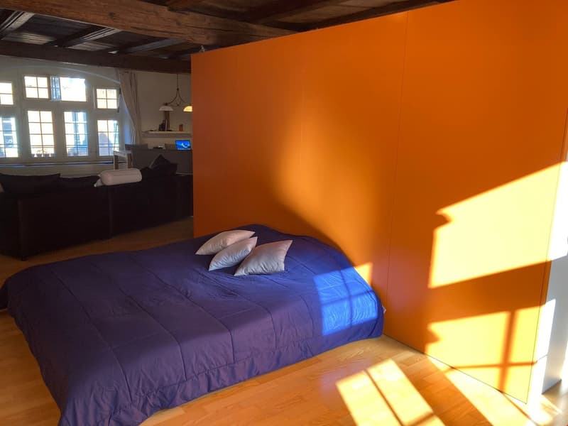 Loft Wohnung in der Altstadt (12)