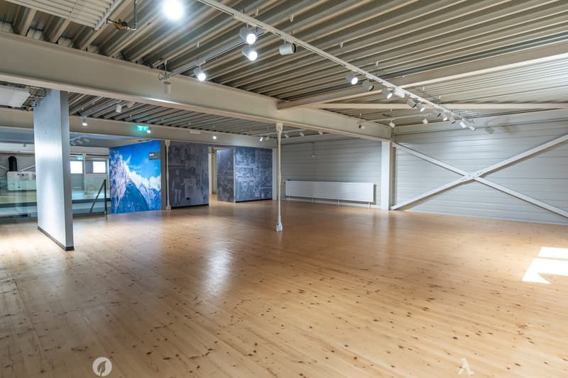 720 m² Verkaufs-, Showroom- & Gewerbefläche an Toplage in Biel (7)