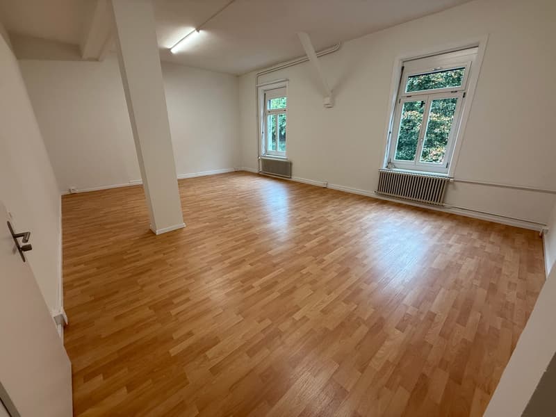 Platz für Ihre Ideen: heller Gewerberaum in Schönenwerd (1)