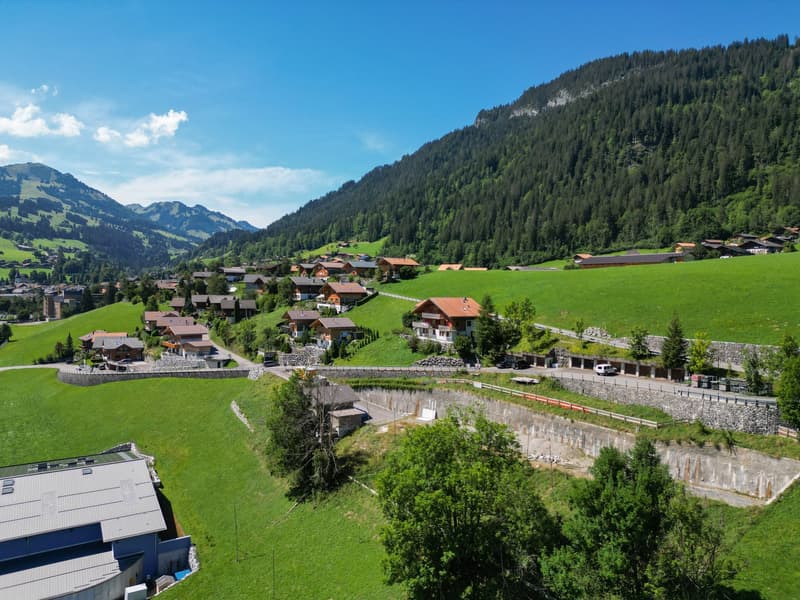 Village setting, multiple houses with similar architecture, alpine mountain backdrop, green landscapes, cloudy sky.