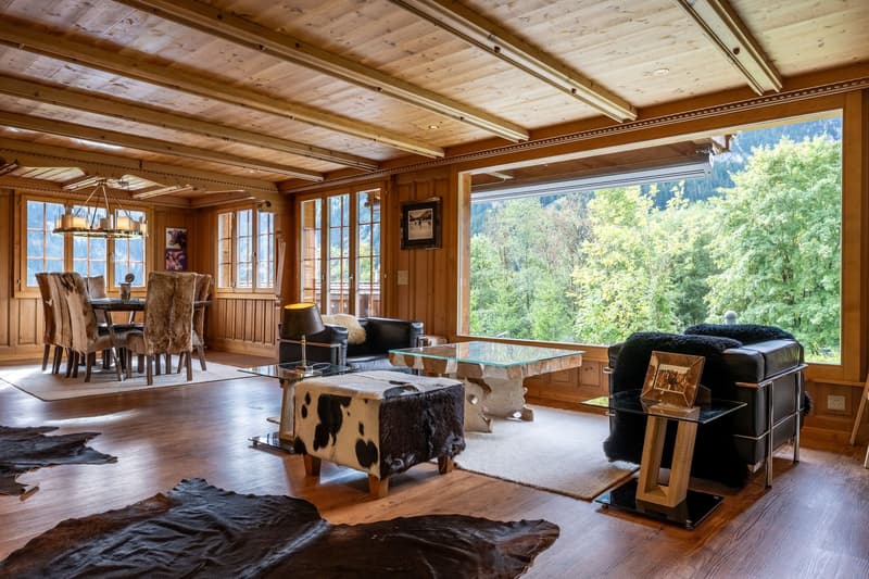 Charmantes Chalet an ruhiger Lage (3)