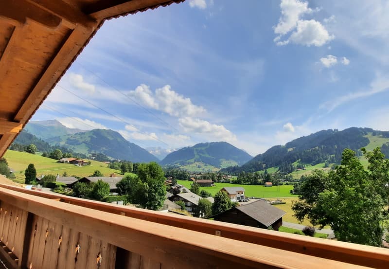 Hochwertige Dachwohnung mit bester Aussicht (1)