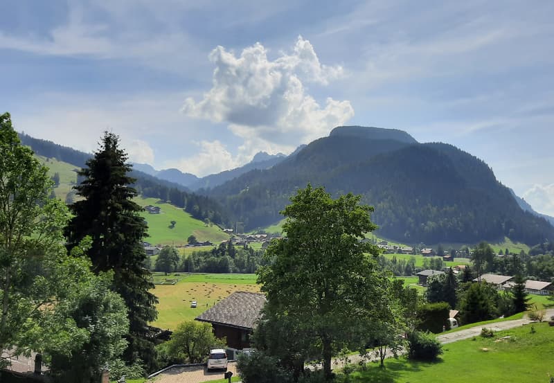 Hochwertige Erdgeschosswohnung mit bester Aussicht (1)