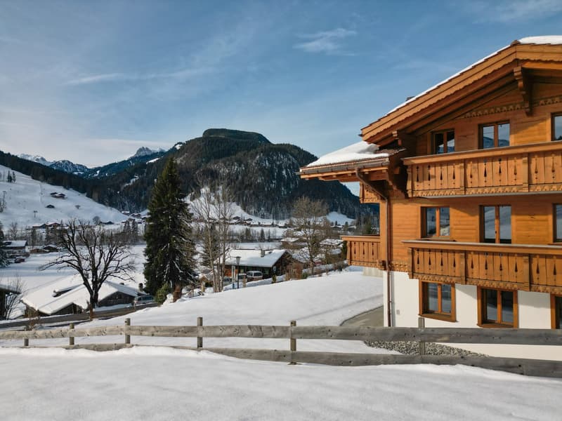 Hochwertige Erdgeschosswohnung mit bester Aussicht (7)