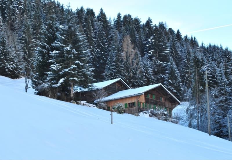 small wooden cottage in the middle of a snowy mountain with pine trees around it