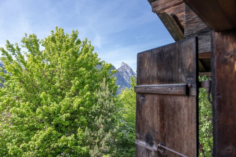 Traditionelles Bauernhaus mit Scheune und Umschwung (2)