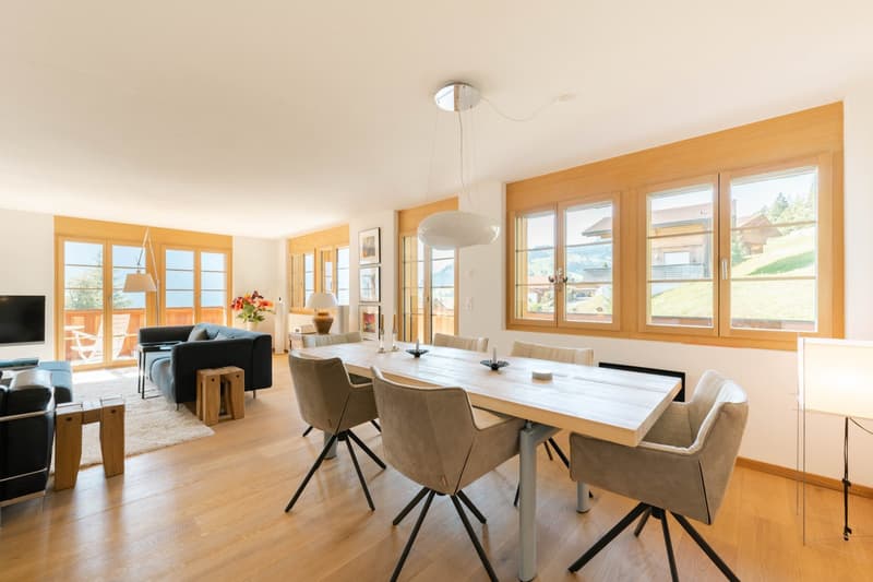 Moderne 4.5-Zimmer Zweitwohnung an sonniger Lage (6)