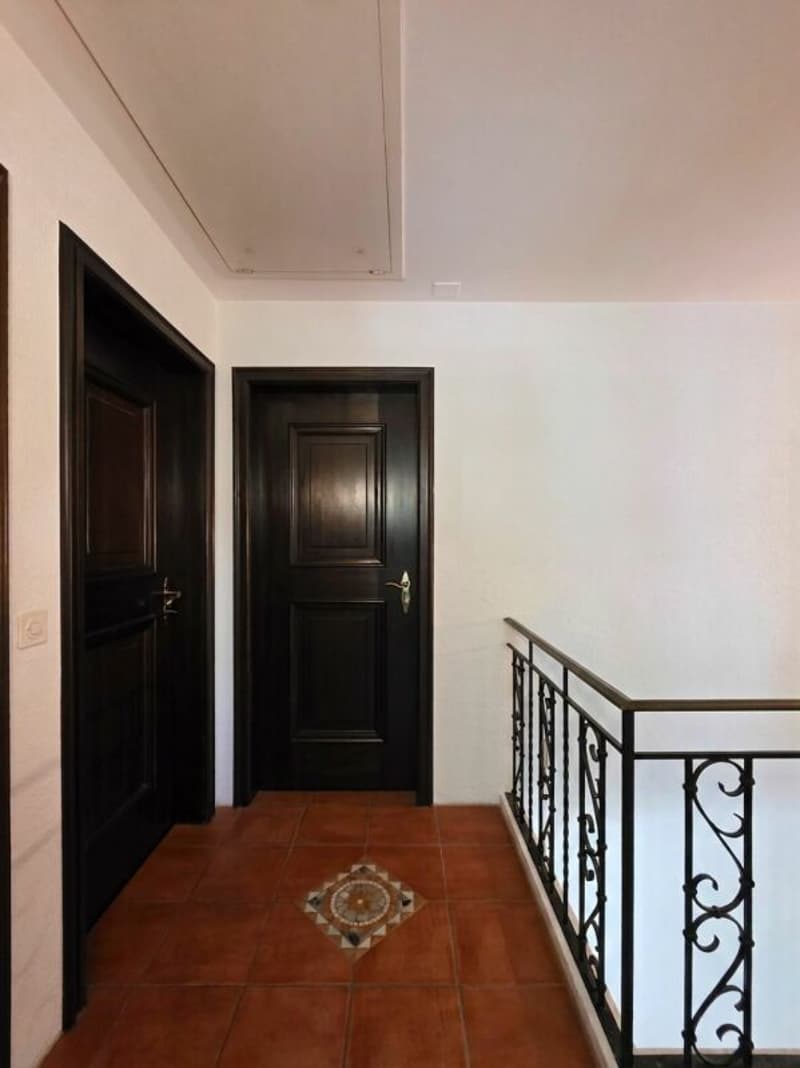 Nur 20 Minuten von Reinach entfernt - elegantes 7 1/2 Zimmer-Landhaus mit viel Umschwung und Fernsicht / Unique Country-Style Villa Kopie (11)