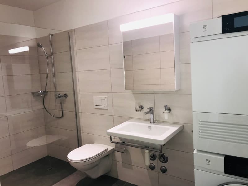 Dusch WC 2.5 Zwg 01