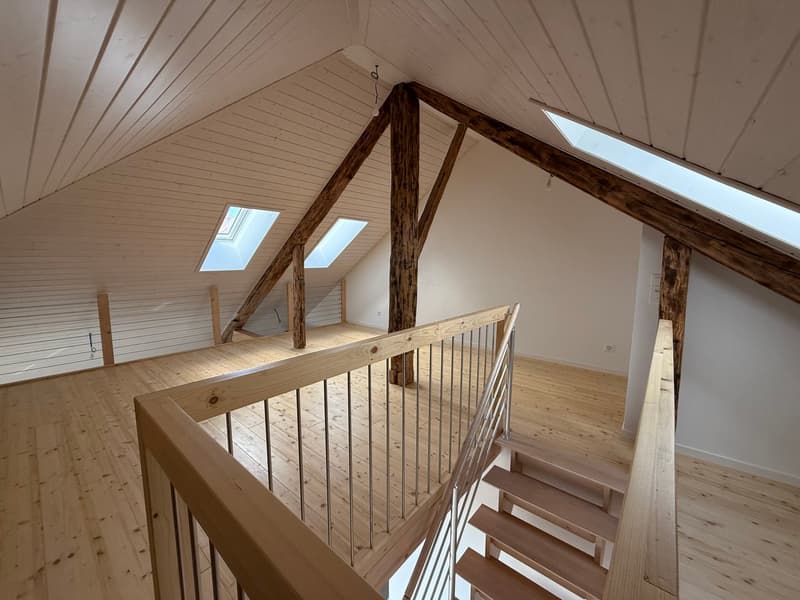 Appartamento duplex con 3 locali (6)
