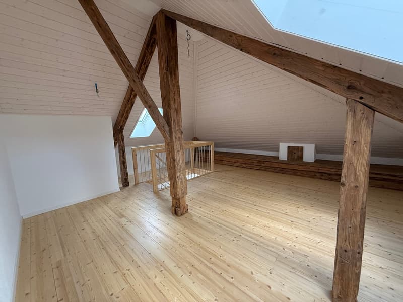 Appartamento duplex con 3 locali (5)