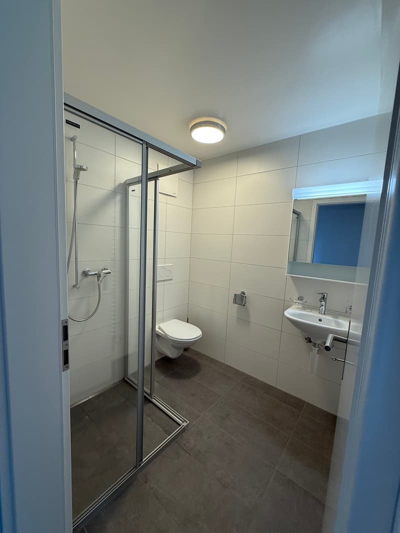 Appartement duplex 3 pièces (7)