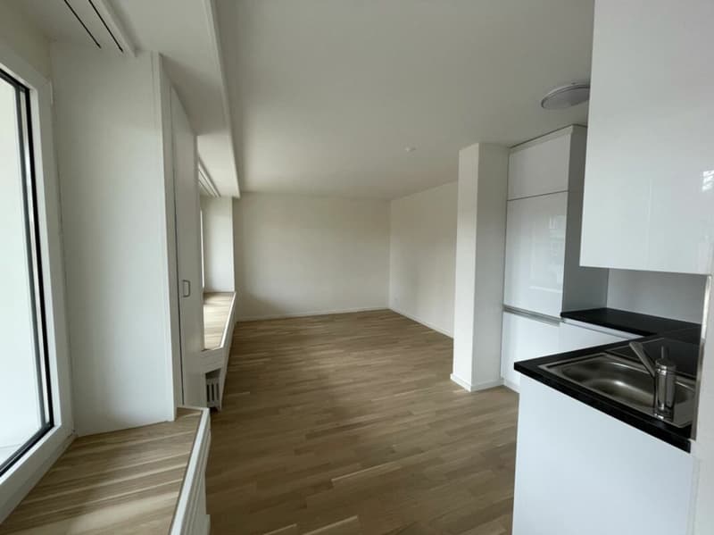 Monolocale/Appartamento 1 stanza (1)