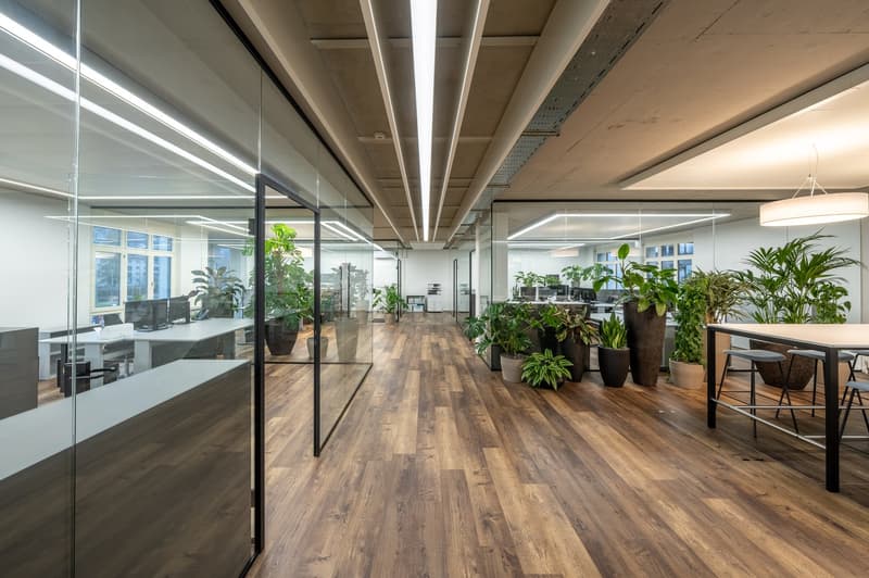 Large open office space with glass partitions, hardwood flooring, and various potted plants throughout. The space features modern lighting fixtures and a mix of workstations and casual seating areas.