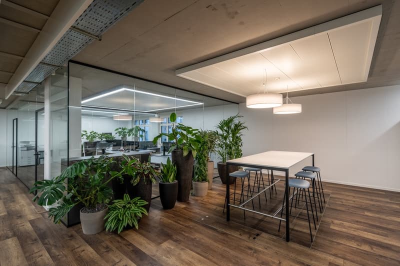 Modern and open office space with a large dining table, bar stools, and various potted plants throughout the room. The space features hardwood flooring, glass walls separating the office area, and recessed lighting fixtures in the ceiling.