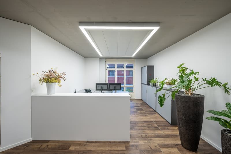 This image shows a modern and minimalist office space. The room has white walls, a large rectangular light fixture on the ceiling, and a reception desk with a computer setup. There are several potted plants around the room, adding a touch of greenery to t