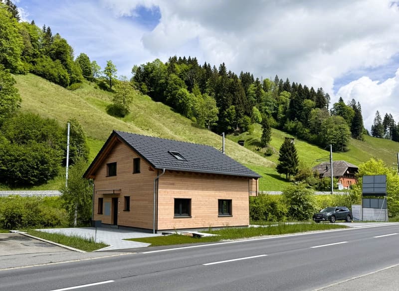 Modern single-family house in Wiggen, built to the Minergie standard, with large garden (7)