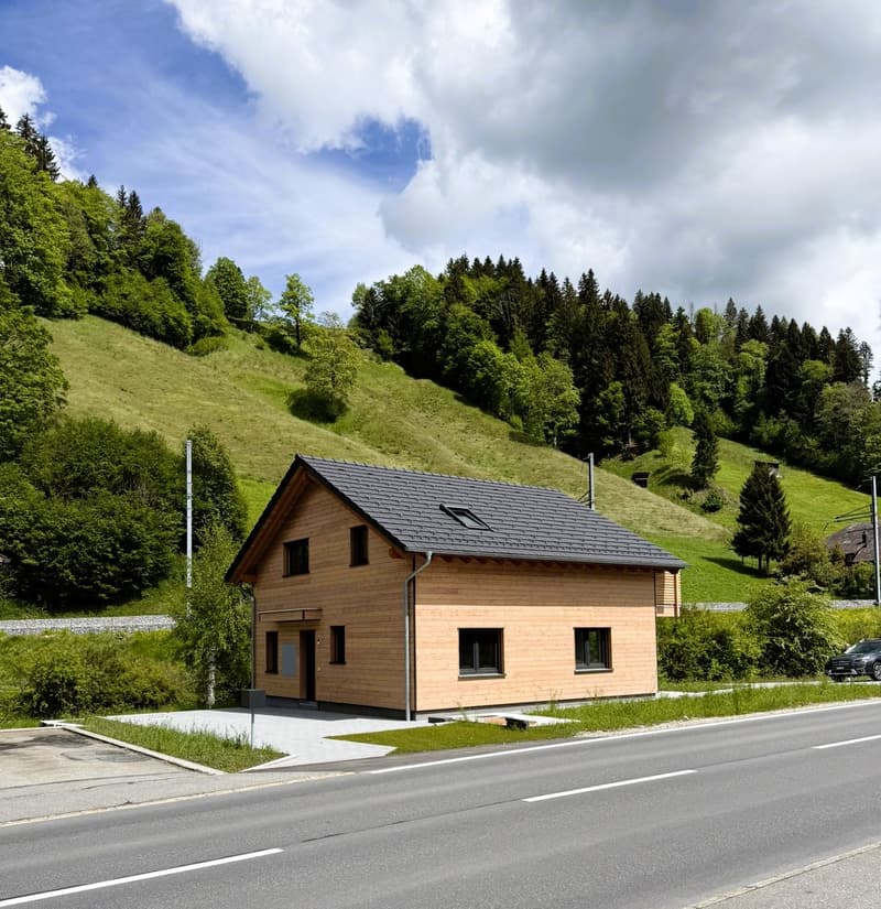 Modern single-family house in Wiggen, built to the Minergie standard, with large garden (6)