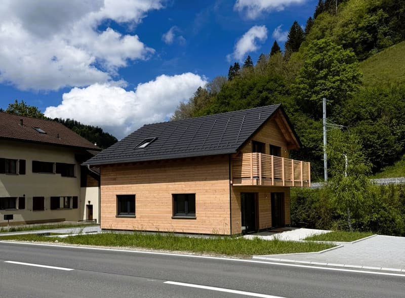 Modern single-family house in Wiggen, built to the Minergie standard, with large garden (3)