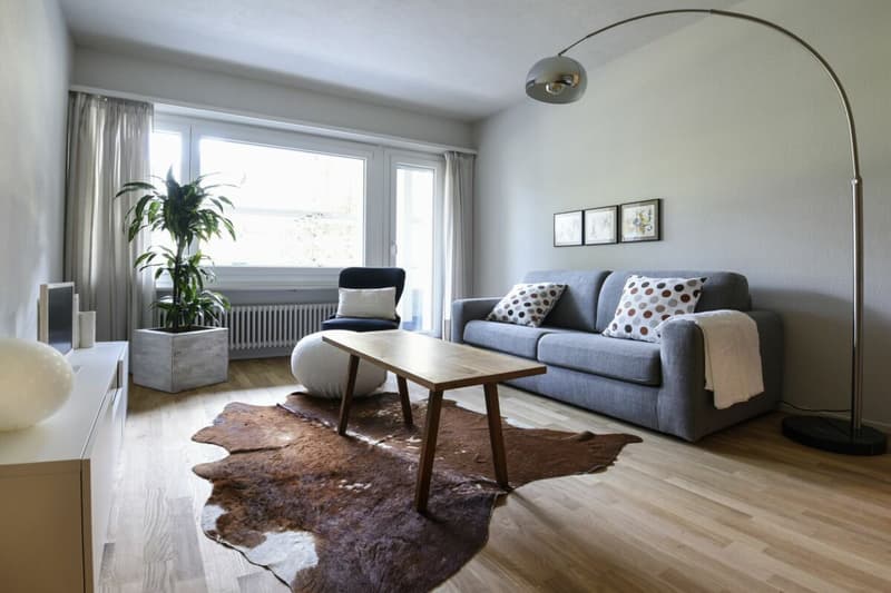 Residence Montrose furnished (2)