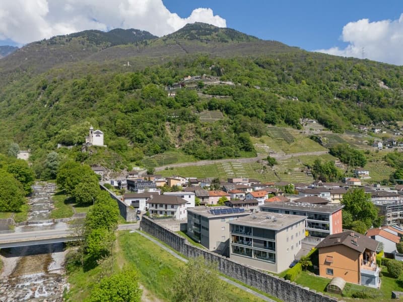Vendiamo speciale 4.5 locali a Monte Carasso (4)