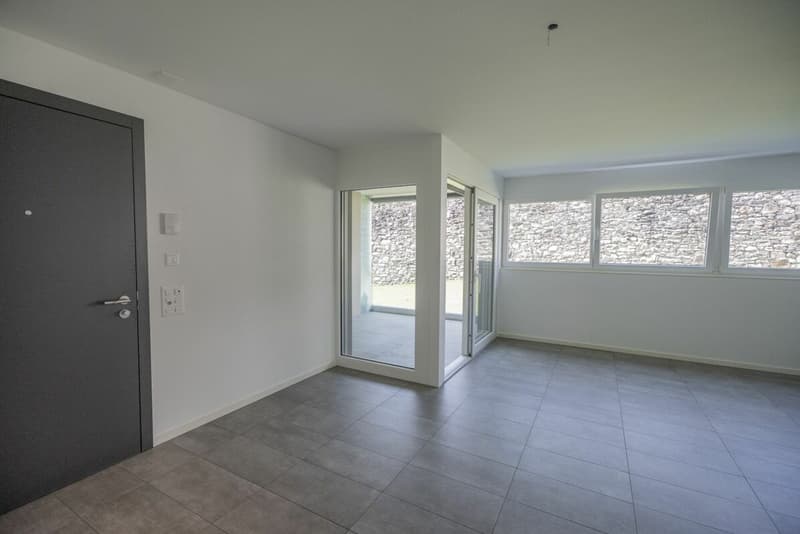 Vendiamo speciale 4.5 locali a Monte Carasso (5)