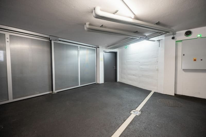 Vendiamo speciale 4.5 locali a Monte Carasso (16)